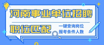 2025河南事业单位职位查询