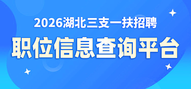 职位信息查询